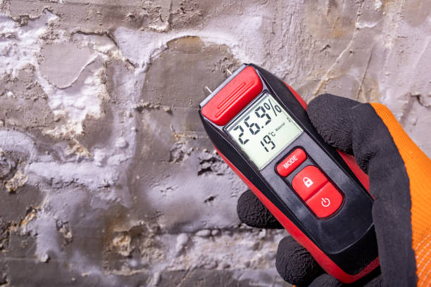 Best Mold Remediation for Specific Building Types in Mansfield, AR