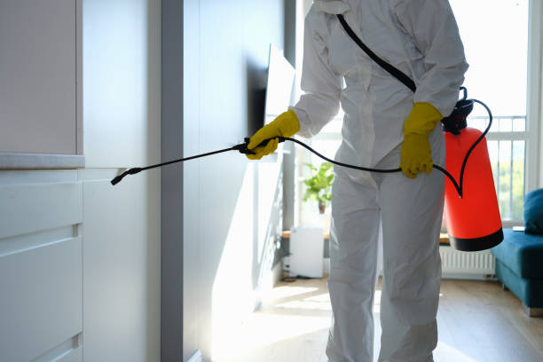 Mansfield, AR Mold Remediation Company