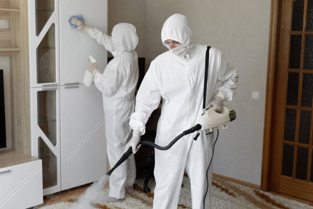 Localized Mold Remediation (e.g., coastal areas, humid climates)